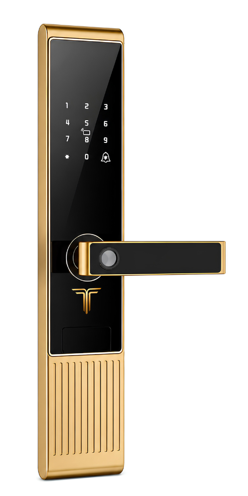 KHÓA CỬA GỖ T-SMART W3-G