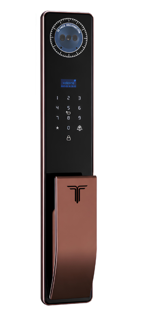 KHÓA FACE ID CỬA GỖ T-SMART WD1-RG
